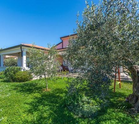 Apartment Liam Novigrad  Bagian luar foto
