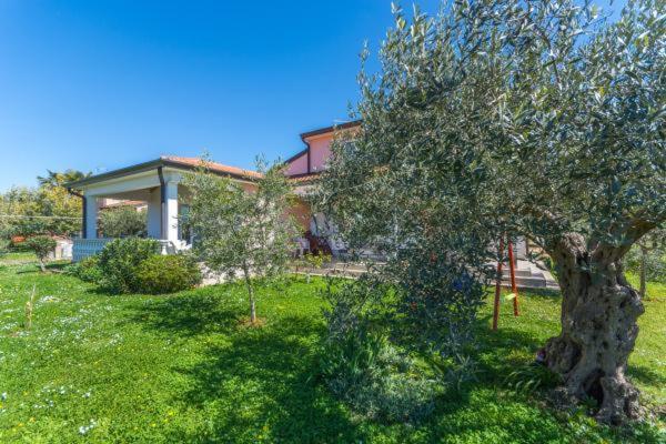 Apartment Liam Novigrad  Bagian luar foto
